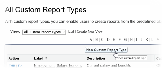 Screenshot: new custom report type